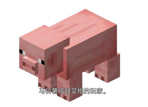 我的世界猪怎么驯服[图1]