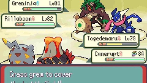 口袋妖怪怎么去绿岭市[图2]