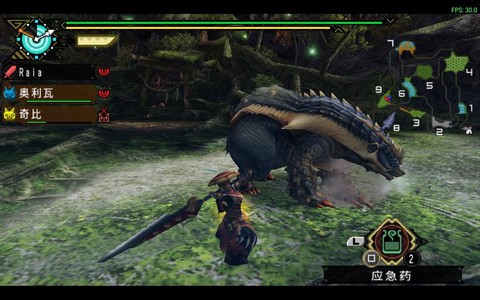 怪物猎人p3达人是什么[图2]